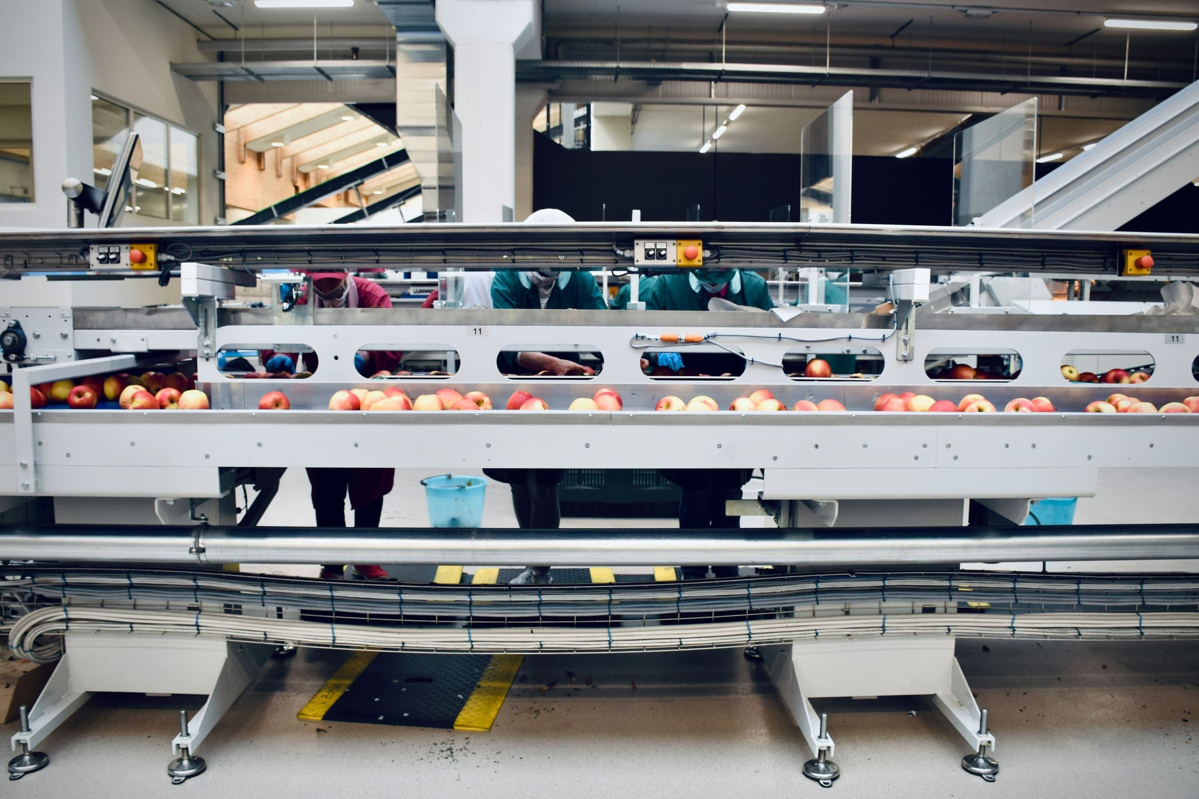 Conveyor System 3