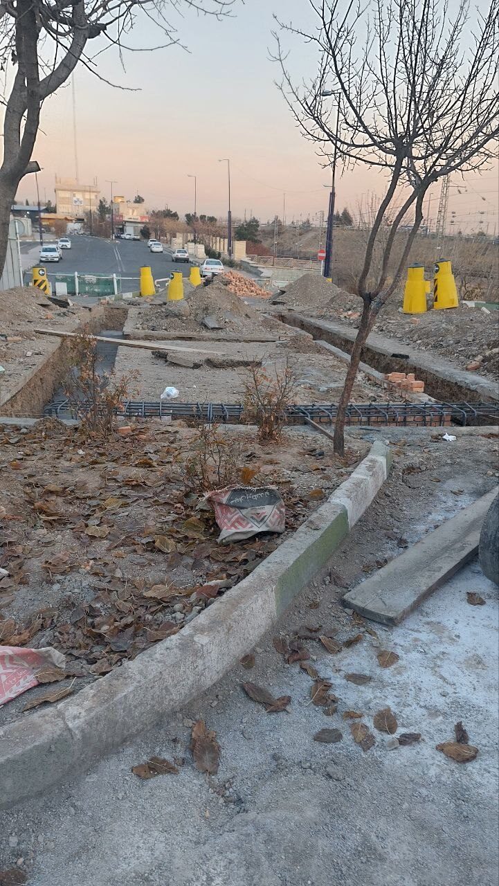 Project Photo 205